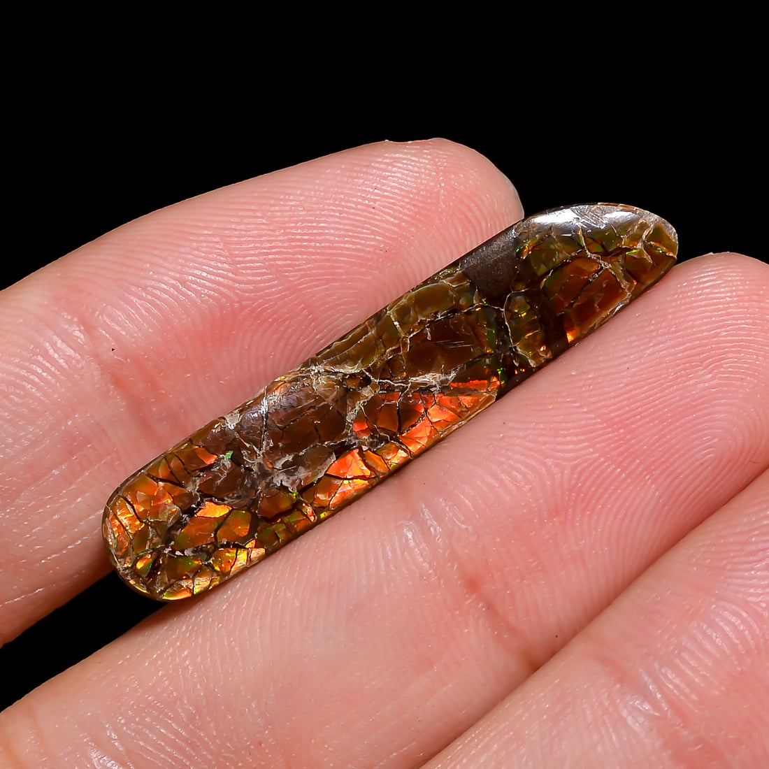 Natural Ammolite Fancy Shape Cabochon Loose Gemstone For Making Jewelry 10.5 Ct. 35X7X3 mm Y-10257