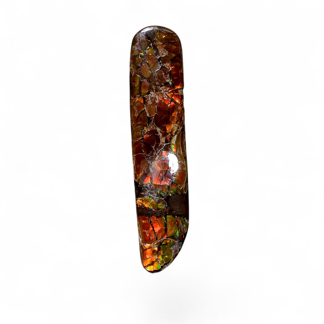 Natural Ammolite Fancy Shape Cabochon Loose Gemstone For Making Jewelry 10.5 Ct. 35X7X3 mm Y-10257