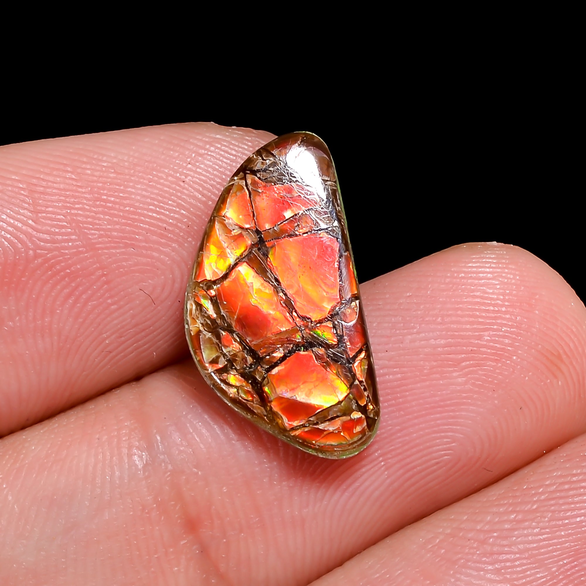 Natural Ammolite Fancy Shape Cabochon Loose Gemstone For Making Jewelry 4 Ct. 17X9X2 mm Y-10258