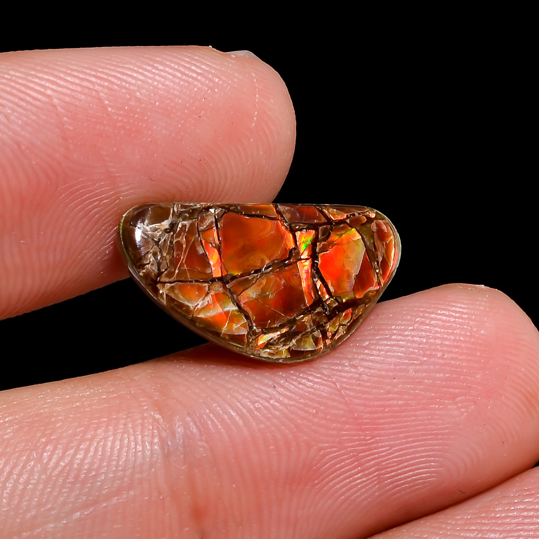 Natural Ammolite Fancy Shape Cabochon Loose Gemstone For Making Jewelry 4 Ct. 17X9X2 mm Y-10258