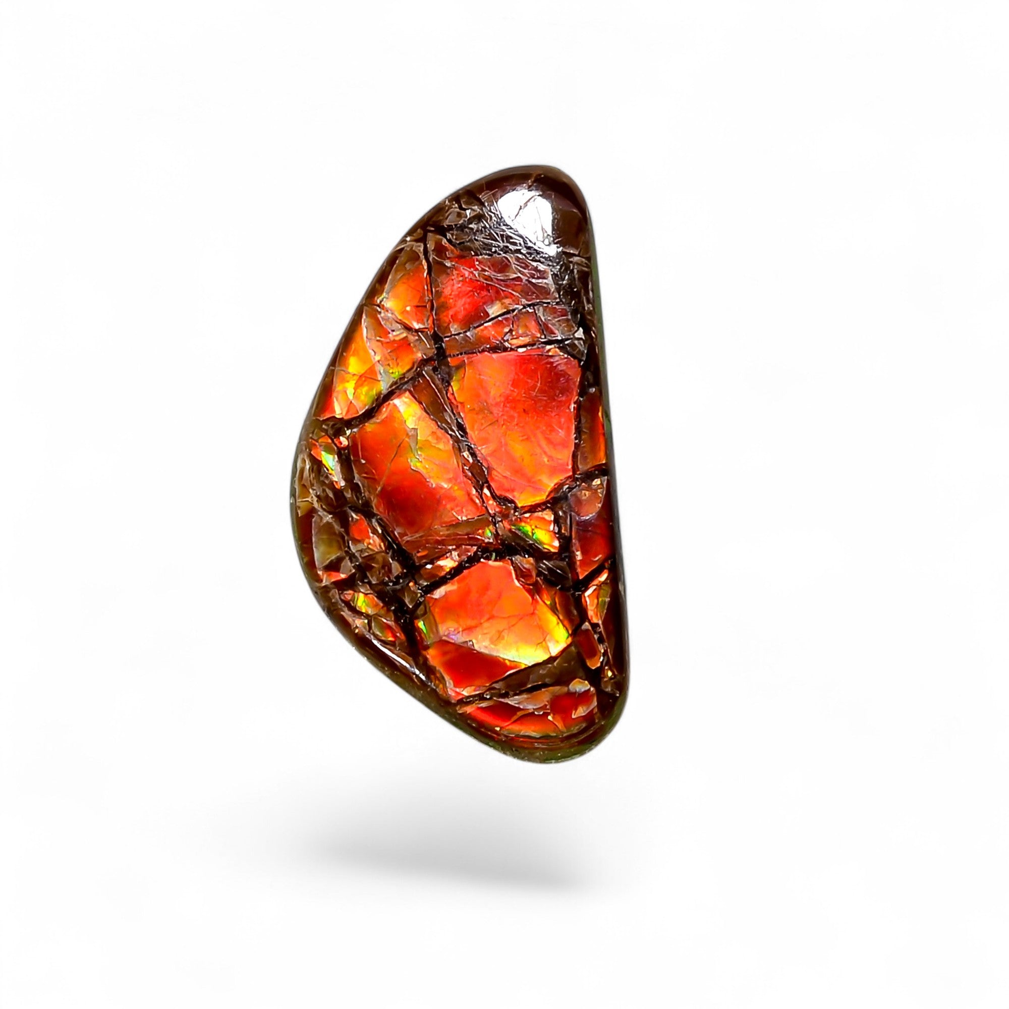 Natural Ammolite Fancy Shape Cabochon Loose Gemstone For Making Jewelry 4 Ct. 17X9X2 mm Y-10258