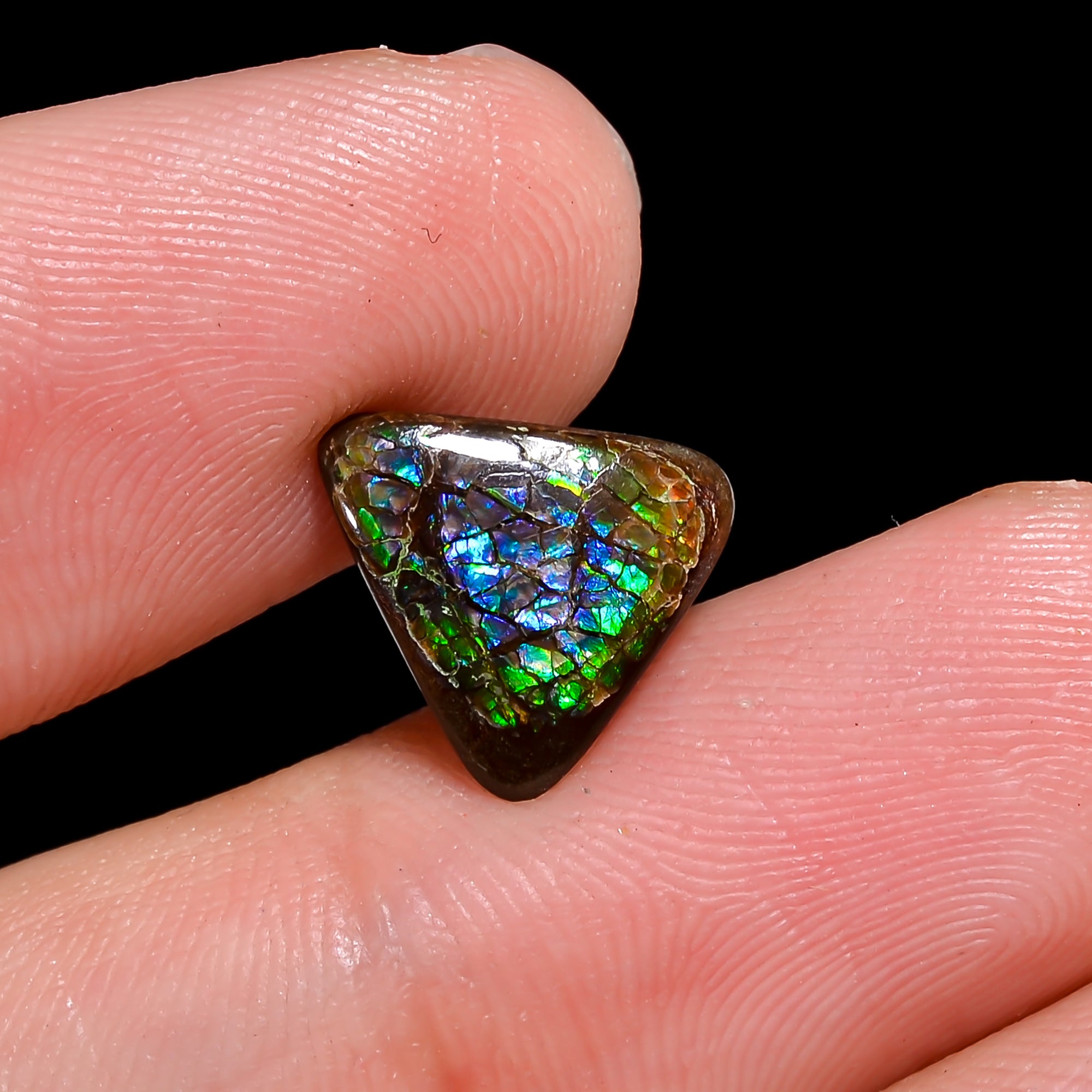 Natural Ammolite Triangle Shape Cabochon Loose Gemstone For Making Jewelry 2 Ct. 10X10X2 mm Y-10260