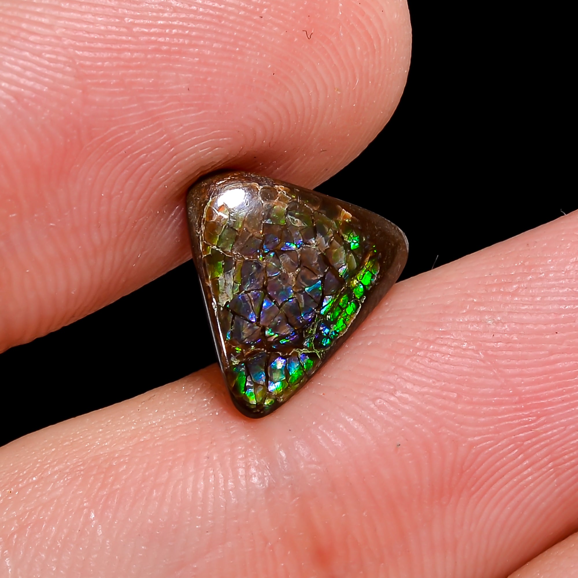 Natural Ammolite Triangle Shape Cabochon Loose Gemstone For Making Jewelry 2 Ct. 10X10X2 mm Y-10260