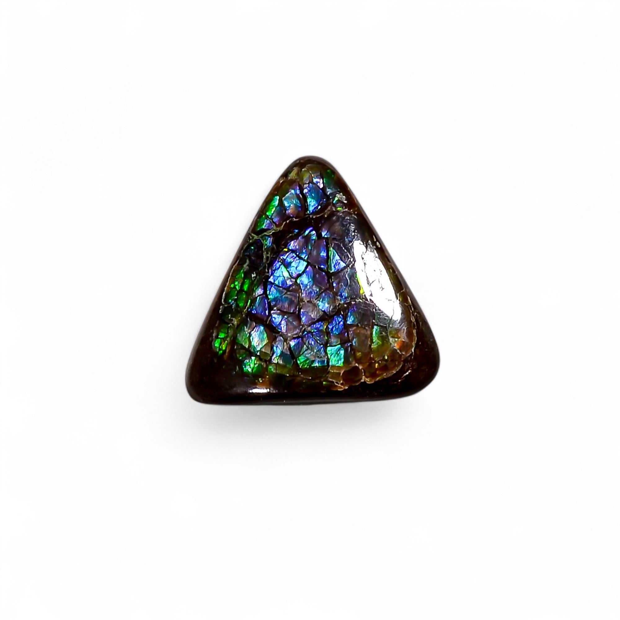 Natural Ammolite Triangle Shape Cabochon Loose Gemstone For Making Jewelry 2 Ct. 10X10X2 mm Y-10260