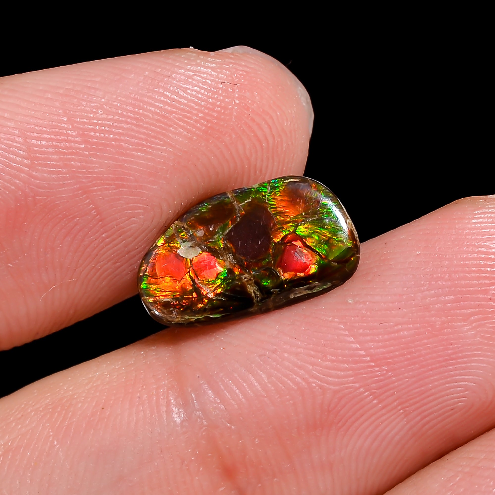 Natural Ammolite Fancy Shape Cabochon Loose Gemstone For Making Jewelry 1.5 Ct. 13X7X2 mm Y-10262