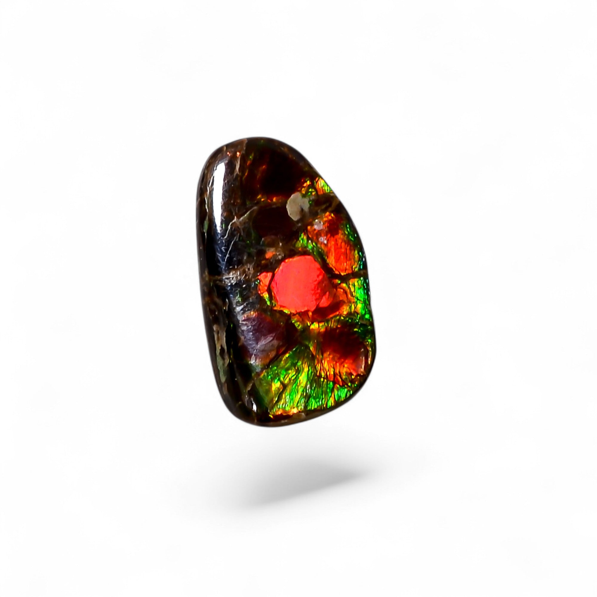 Natural Ammolite Fancy Shape Cabochon Loose Gemstone For Making Jewelry 1.5 Ct. 13X7X2 mm Y-10262