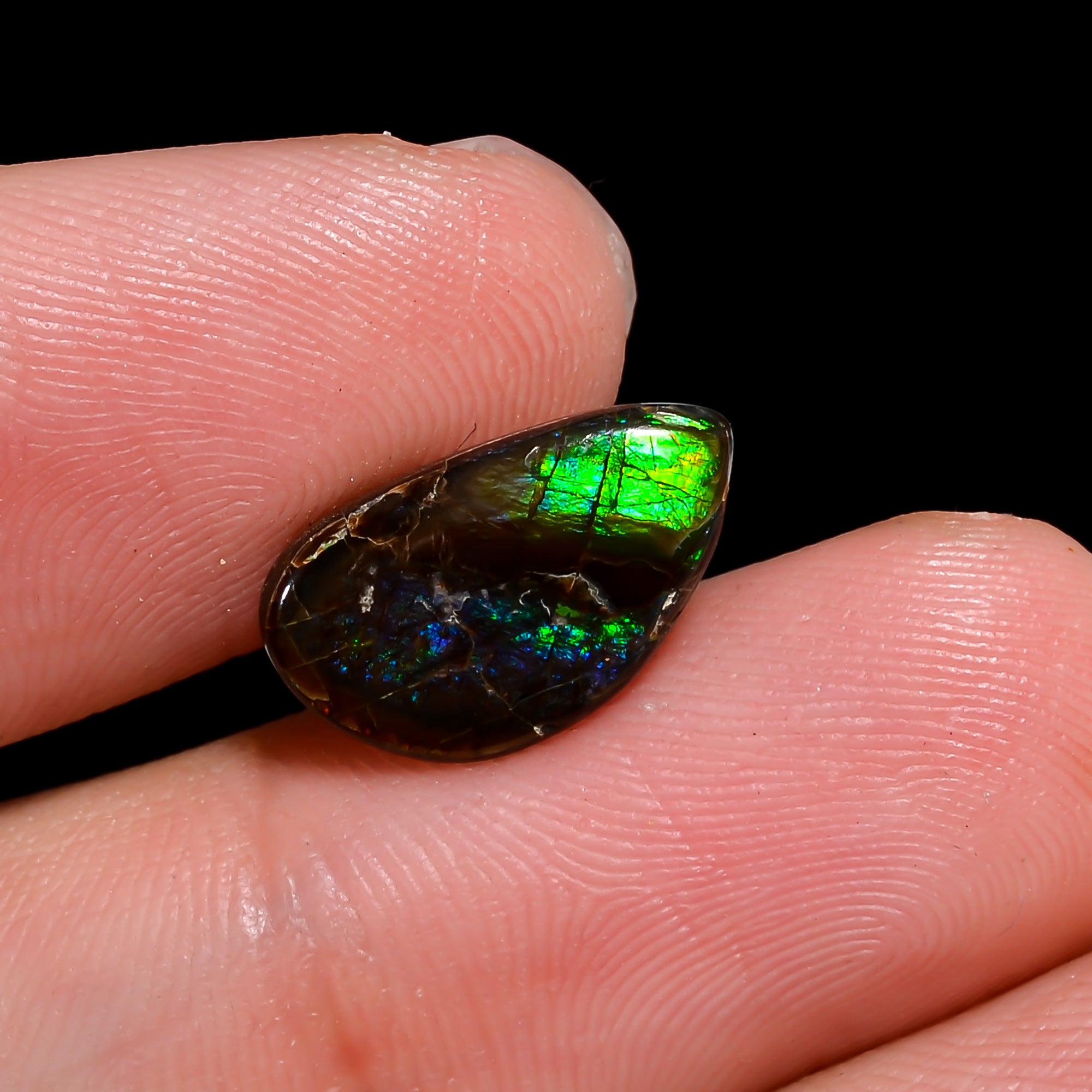 Natural Ammolite Fancy Shape Cabochon Loose Gemstone For Making Jewelry 3 Ct. 14X8X2 mm Y-10264