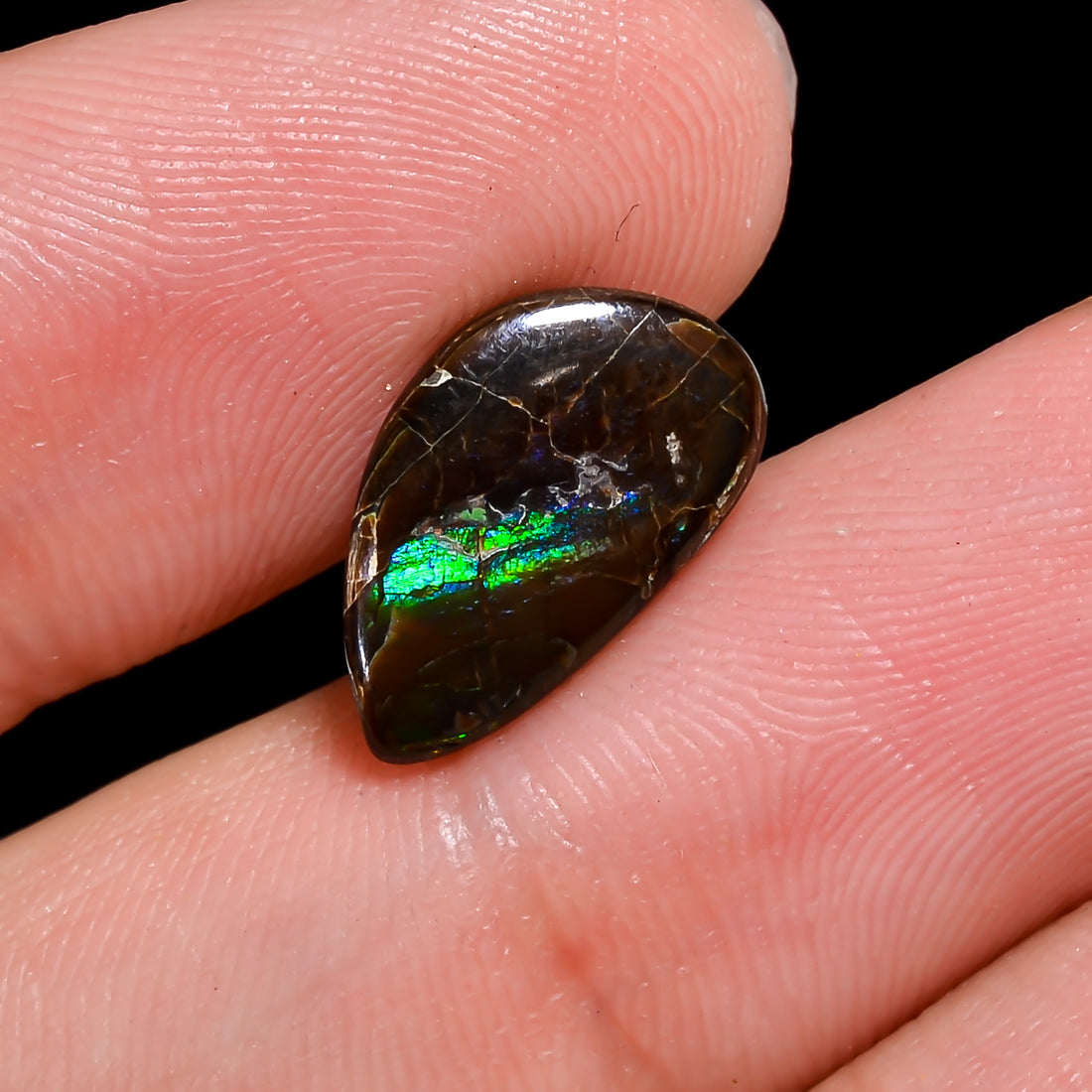 Natural Ammolite Fancy Shape Cabochon Loose Gemstone For Making Jewelry 3 Ct. 14X8X2 mm Y-10264