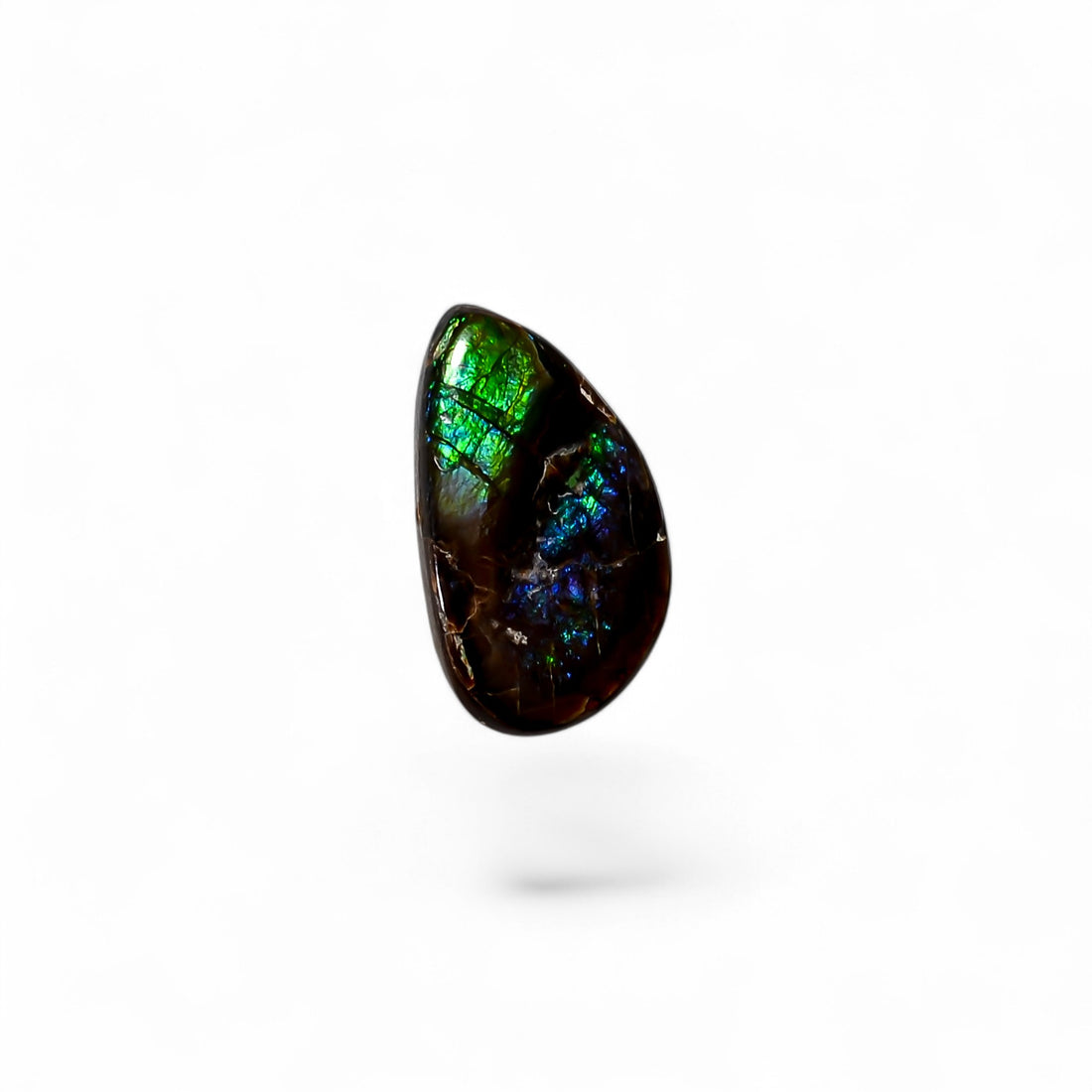 Natural Ammolite Fancy Shape Cabochon Loose Gemstone For Making Jewelry 3 Ct. 14X8X2 mm Y-10264