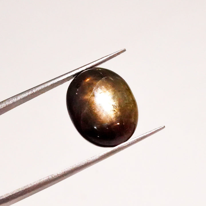 Natural Black Star Sapphire Oval Shape Cabochon Loose Gemstone  For Making Jewelry 14 Ct. 14X11X7 mm Y-3631