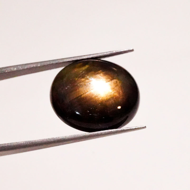 Natural Black Star Sapphire Oval Shape Cabochon Loose Gemstone  For Making Jewelry 15 Ct. 16X14X6 mm Y-3632