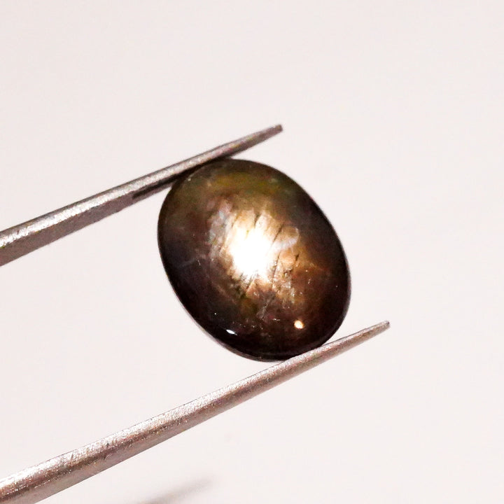 Natural Black Star Sapphire Oval Shape Cabochon Loose Gemstone  For Making Jewelry 9.5 Ct. 13X10X6mm Y-3633