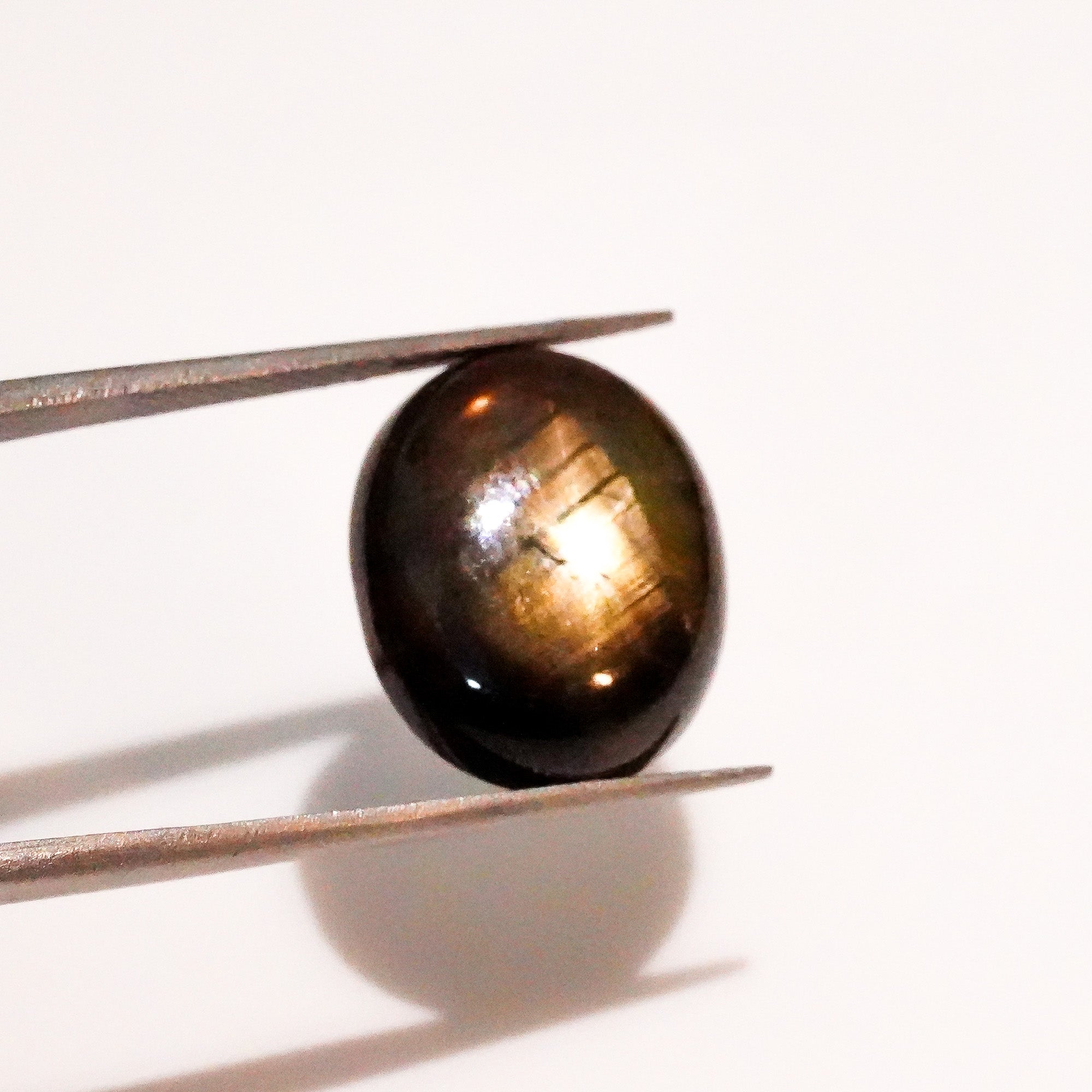 Natural Black Star Sapphire Oval Shape Cabochon Loose Gemstone  For Making Jewelry 14.5 Ct. 15X13X6mm Y3636