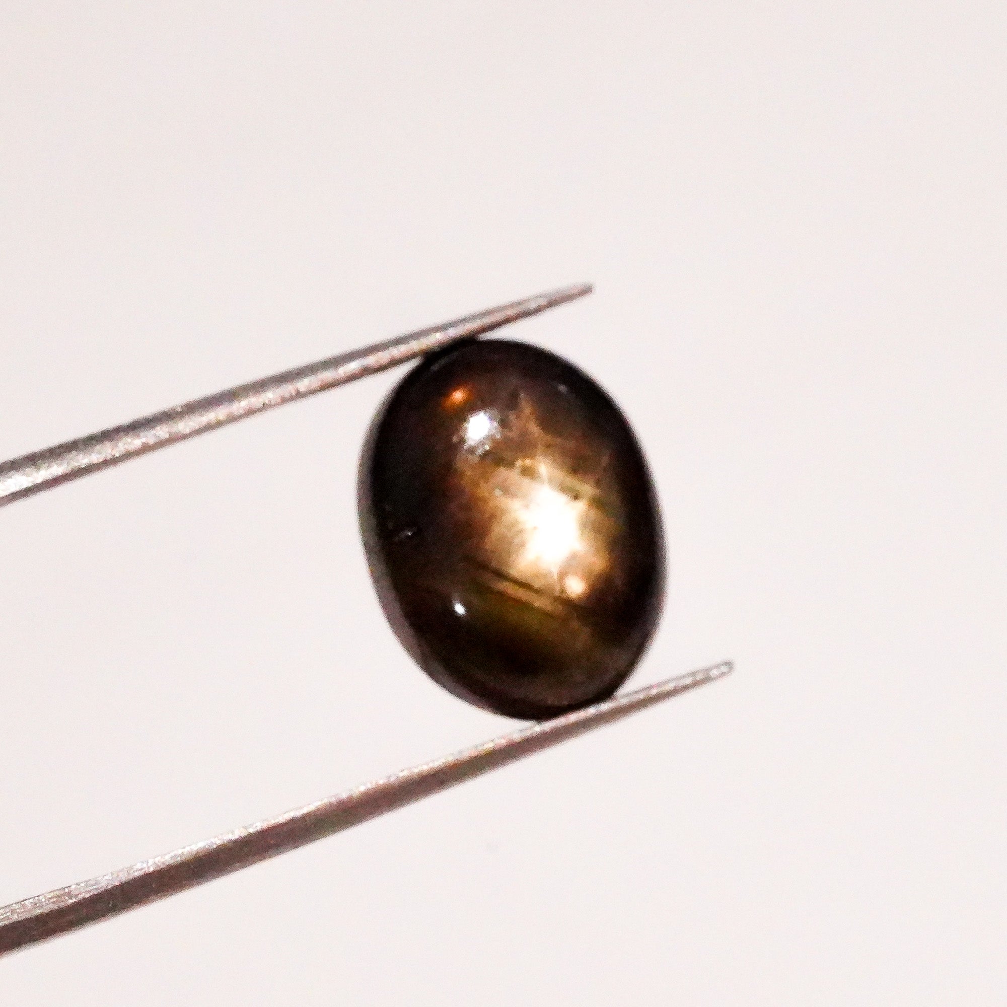 Natural Black Star Sapphire Oval Shape Cabochon Loose Gemstone  For Making Jewelry 7 Ct. 12X9X5 mm Y-3637