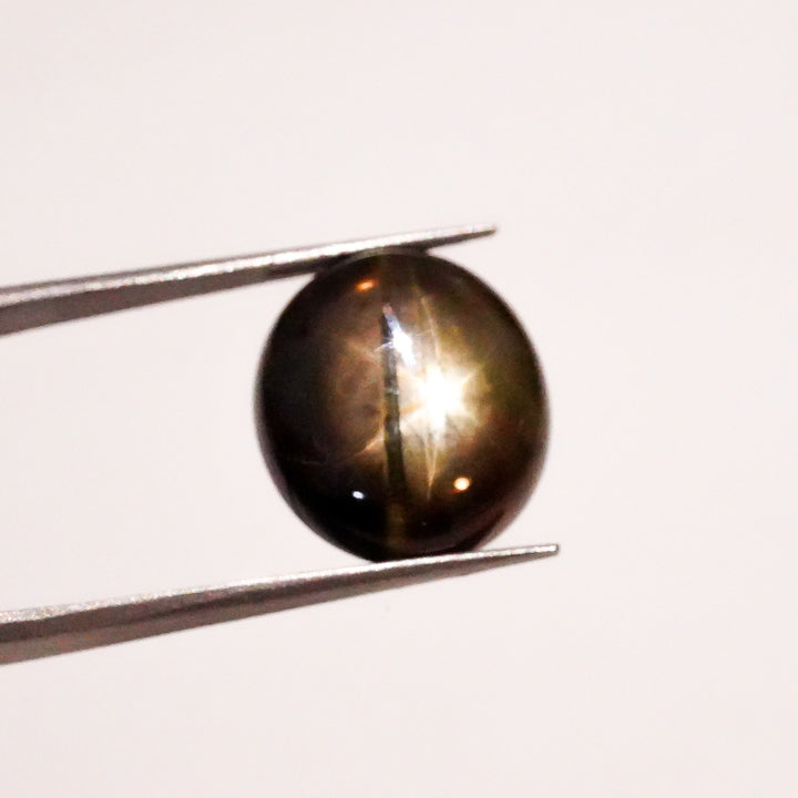 Natural Black Star Sapphire Oval Shape Cabochon Loose Gemstone  For Making Jewelry 13 Ct. 14X13X6mm Y-3638