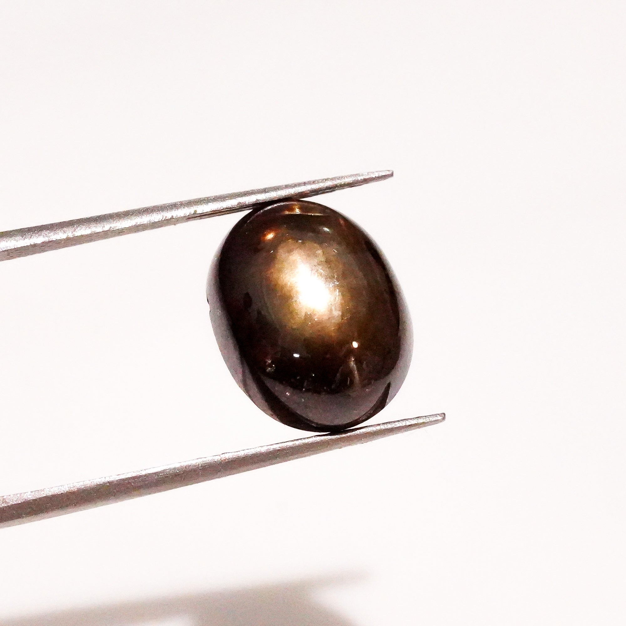 Natural Black Star Sapphire Oval Shape Cabochon Loose Gemstone  For Making Jewelry 8 Ct. 12X9X6 mm Y-3640