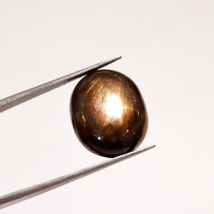 Natural Black Star Sapphire Oval Shape Cabochon Loose Gemstone  For Making Jewelry 15.5 Ct. 16X13X6mm Y-3641