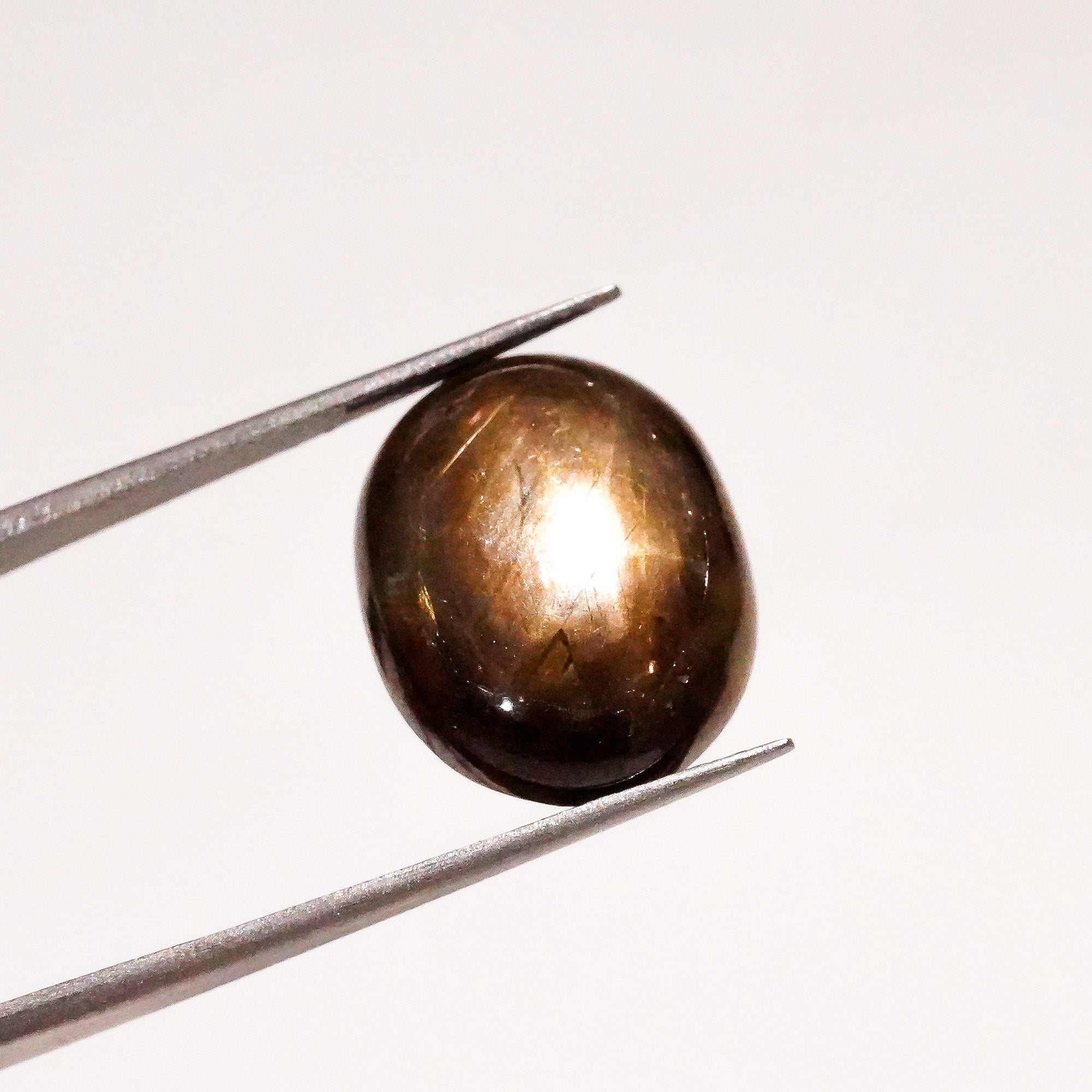 Natural Black Star Sapphire Oval Shape Cabochon Loose Gemstone  For Making Jewelry 15.5 Ct. 16X13X6mm Y-3641