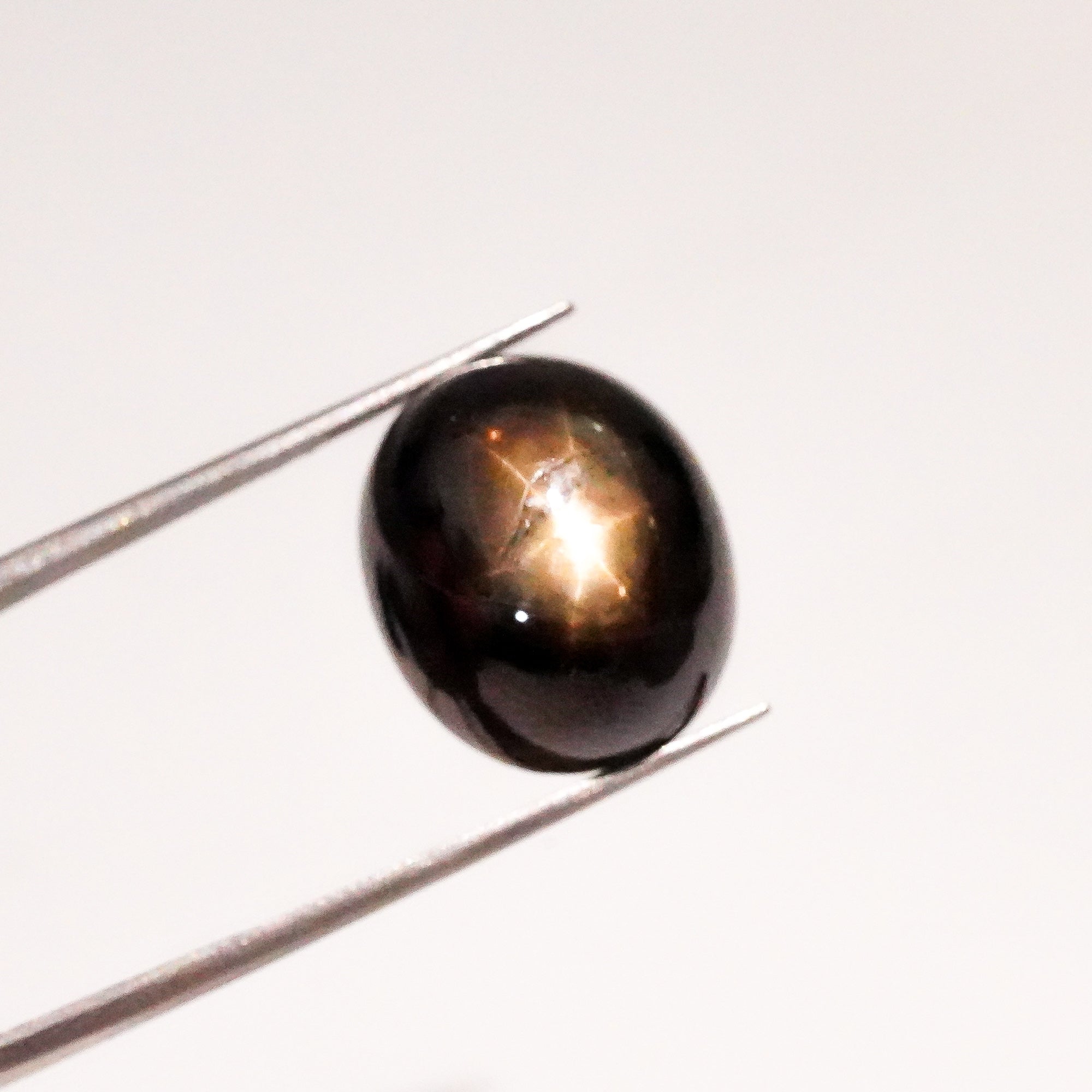 Natural Black Star Sapphire Oval Shape Cabochon Loose Gemstone For Making Jewelry 20.5 Ct. 16X13X9 mm Y-3642