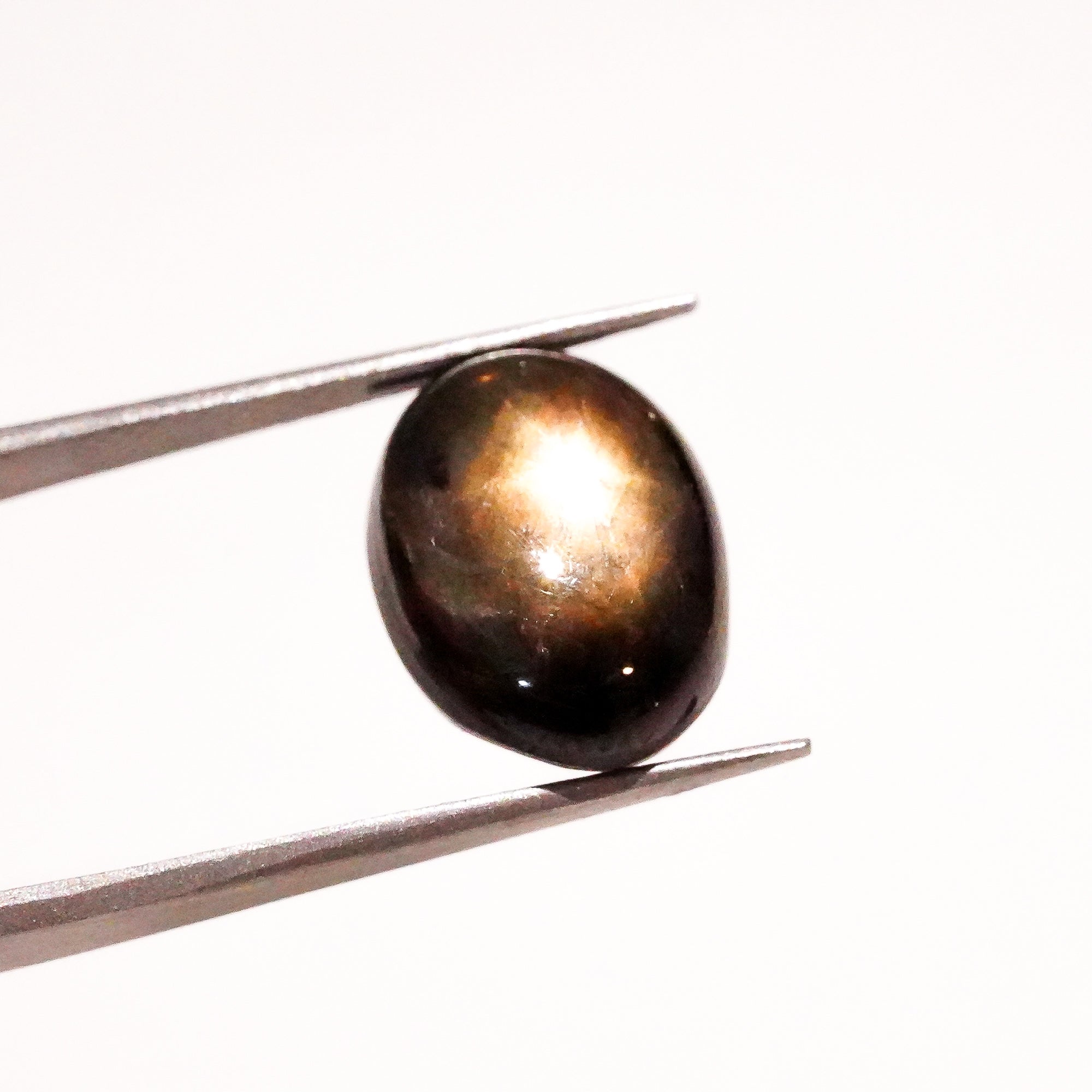 Natural Black Star Sapphire Oval Shape Cabochon Loose Gemstone  For Making Jewelry 14 Ct. 14X11X7 mm Y-3644
