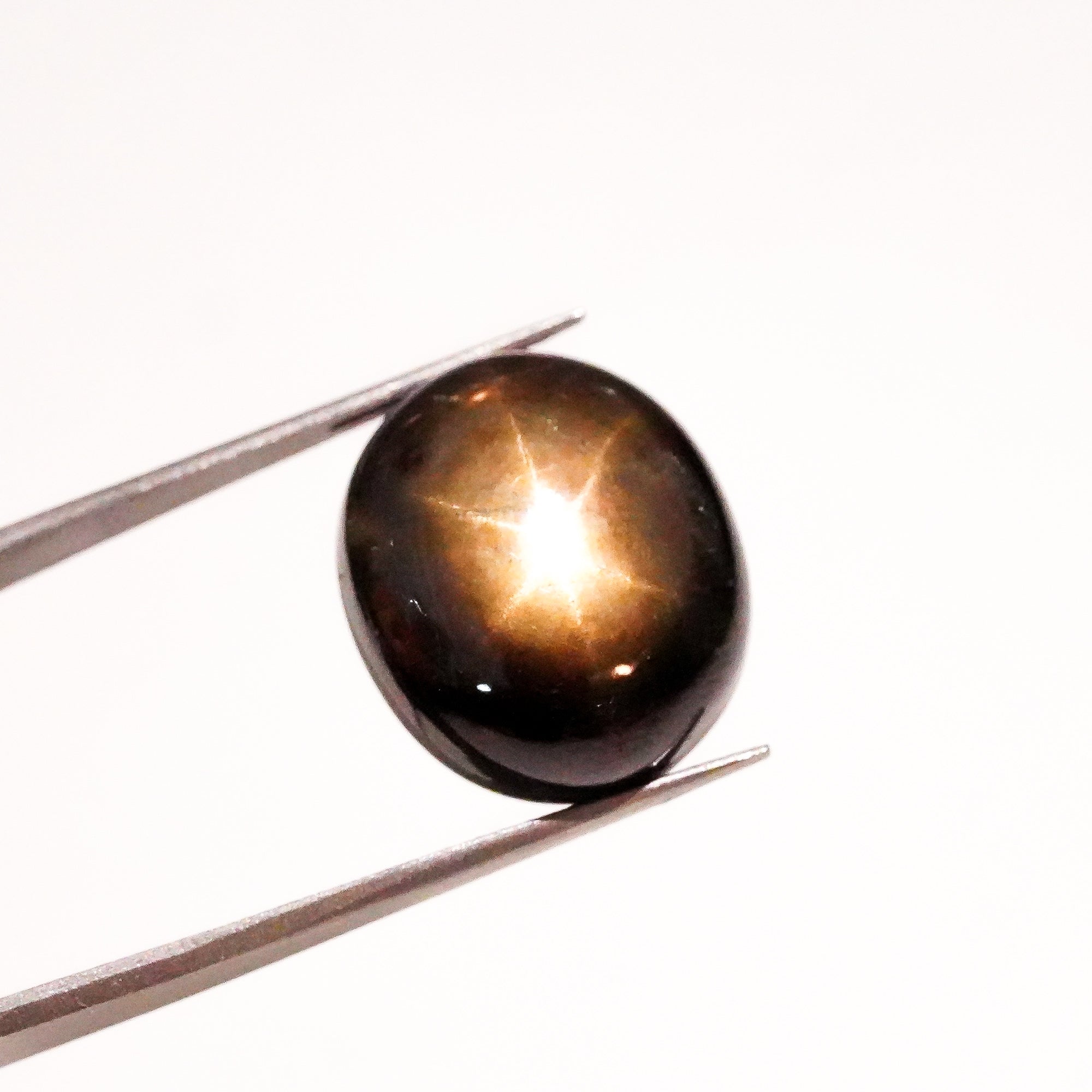 Natural Black Star Sapphire Oval Shape Cabochon Loose Gemstone For Making Jewelry 26.5 Ct. 17X14X8mm Y-3645