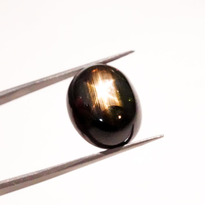 Natural Black Star Sapphire Oval Shape Cabochon Loose Gemstone  For Making Jewelry 19.5 Ct. 15X12X8mm Y-3646
