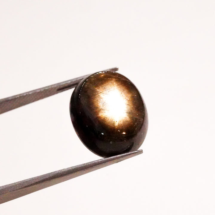 Natural Black Star Sapphire Oval Shape Cabochon Loose Gemstone  For Making Jewelry 15.5 Ct. 14X12X7 mm Y-3647