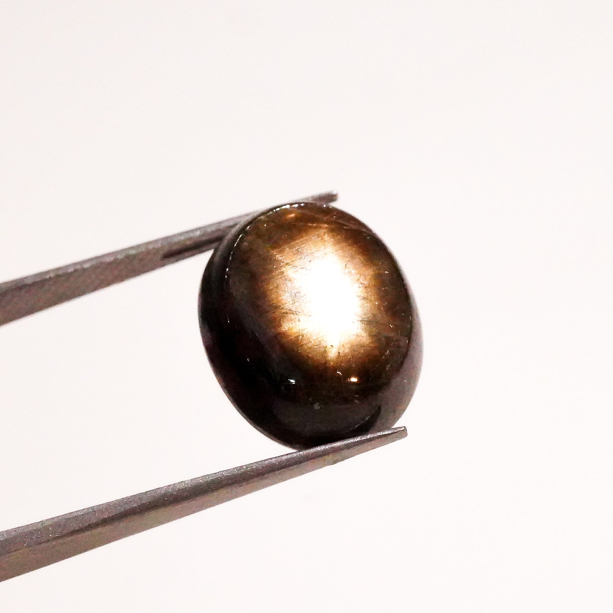 Natural Black Star Sapphire Oval Shape Cabochon Loose Gemstone  For Making Jewelry 15.5 Ct. 14X12X7 mm Y-3647