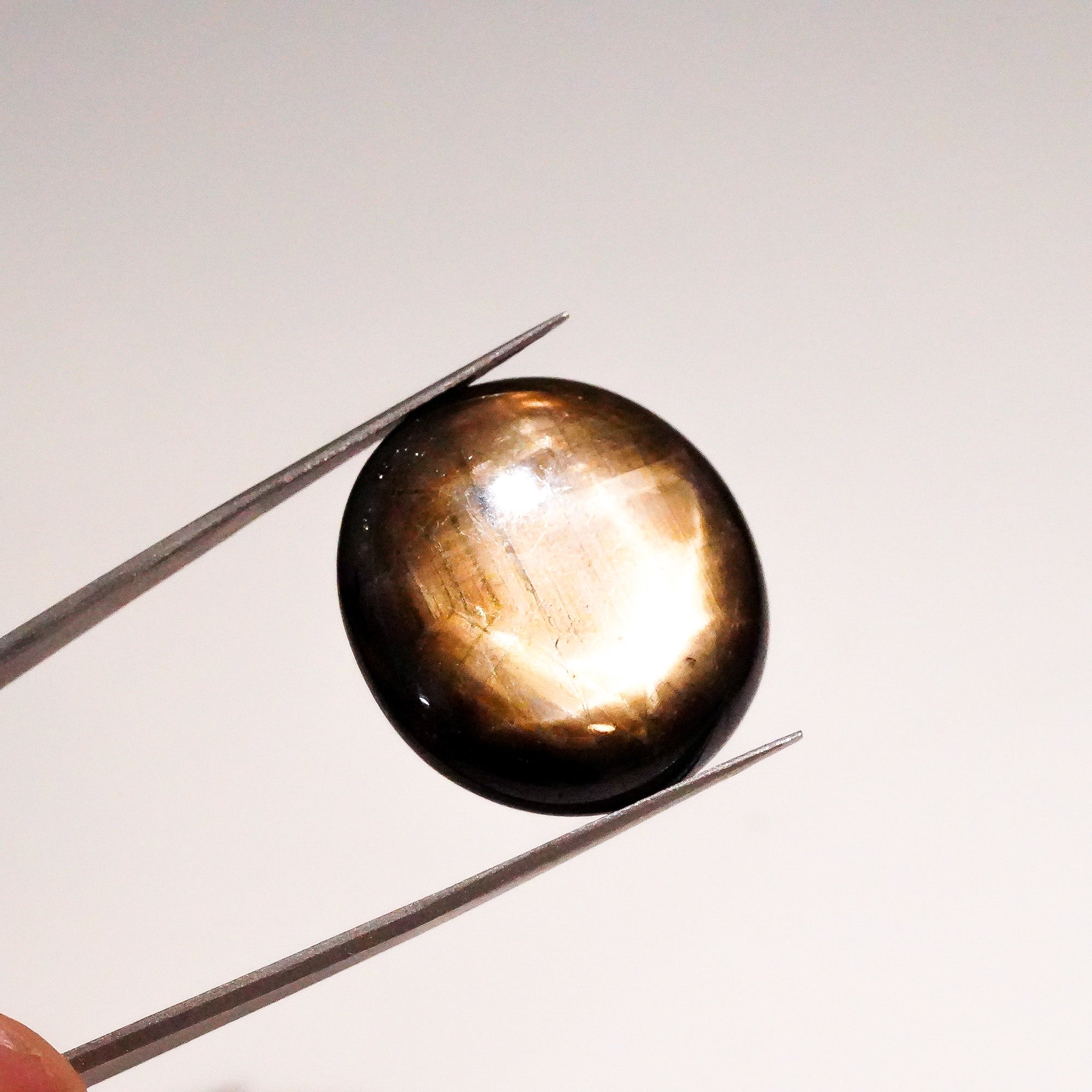 Natural Black Star Sapphire Oval Shape Cabochon Loose Gemstone  For Making Jewelry 62 Ct. 24X23X9 mm Y-3648