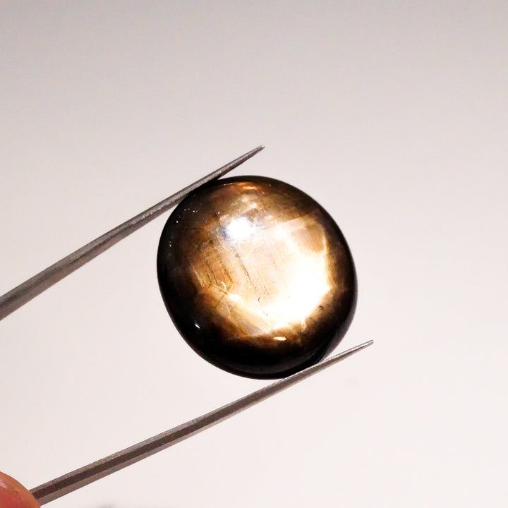 Natural Black Star Sapphire Oval Shape Cabochon Loose Gemstone  For Making Jewelry 62 Ct. 24X23X9 mm Y-3648